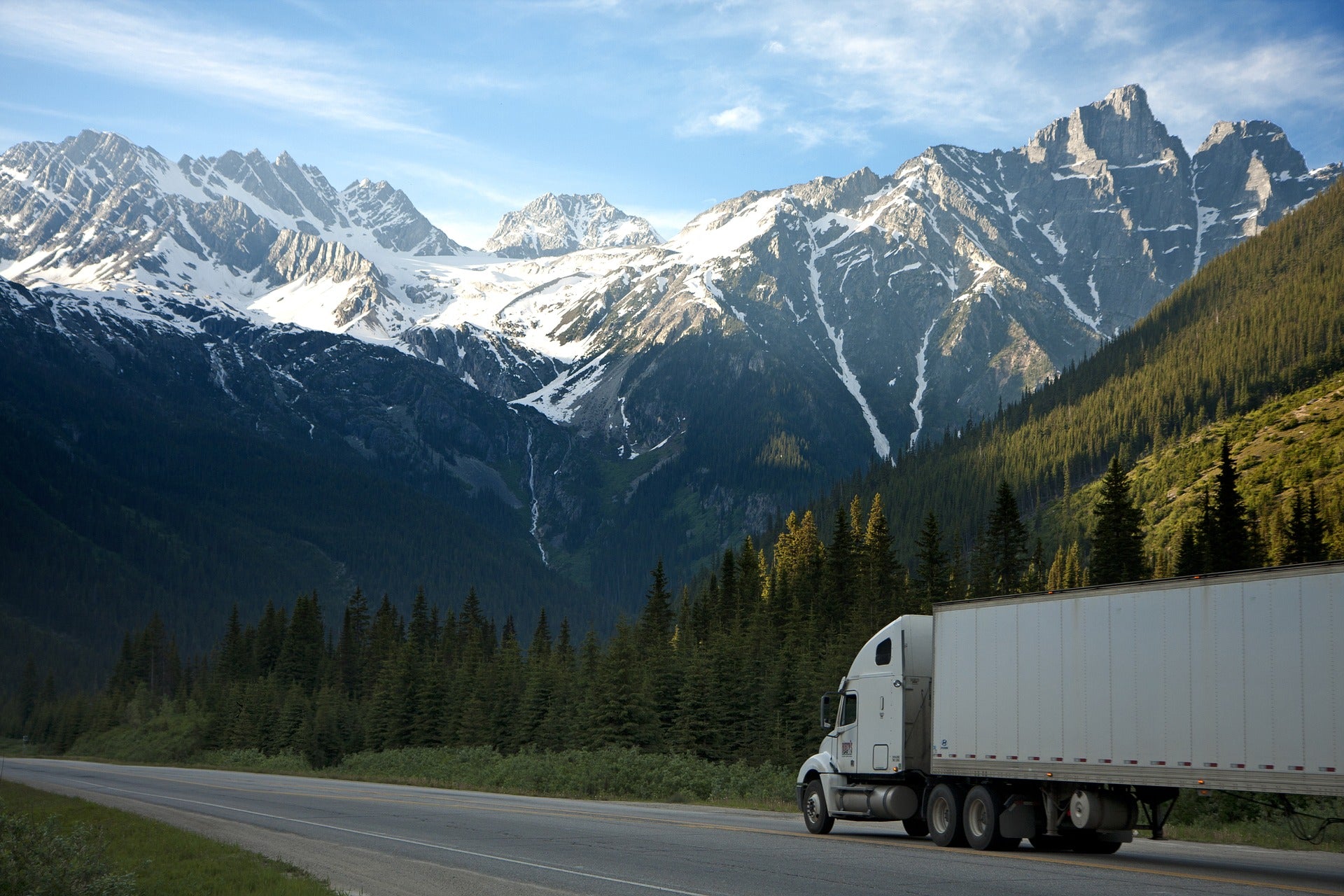 Professional service and fast delivery