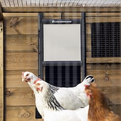 Καταπακτή για κοτόπουλα - Chicken Guard
