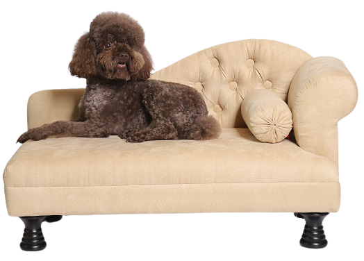 Καναπές σκύλου με 1 υποβραχιόνιο - μπεζ - καλάθι σκύλου